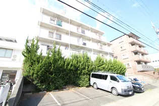 ヤングヴィレッジの画像