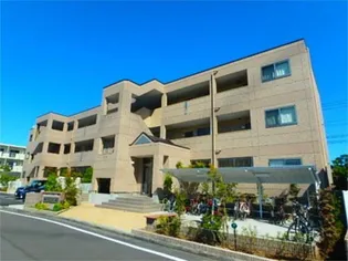 アイリスの画像