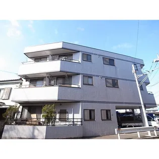 倉光ハイムの画像