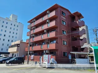 ショコラの画像