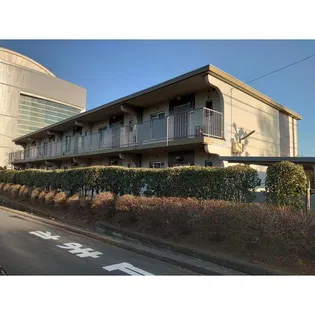 サンホワイトMの画像