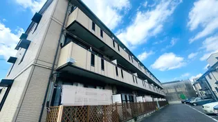 アコール5の画像