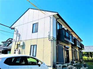 ハイビスカスDの画像