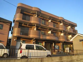 埼玉県川越市大字並木【マンション】の外観