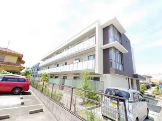 アミコート レラの画像