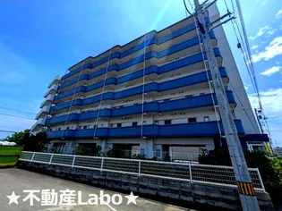 徳島県板野郡松茂町笹木野字八北開拓【マンション】の外観