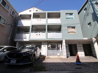 ホウエイコートの画像