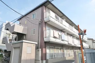 ソレイユ並木の画像