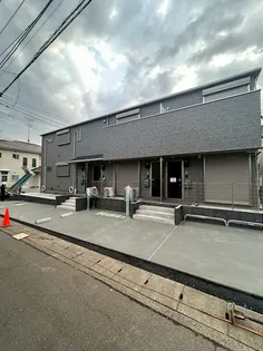 ベルリード菫の画像