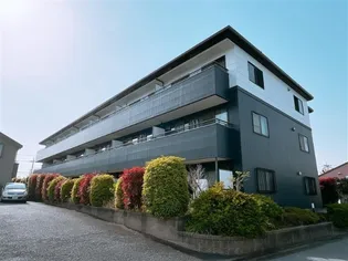 グレースの画像