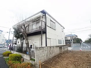 ニューカリーノの画像