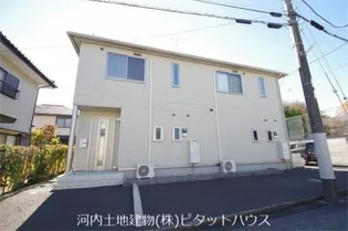 Yヨウトウ7パナメゾンの画像