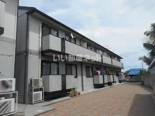 グレイスロングBの画像