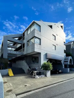 ヒラソルムラキの画像