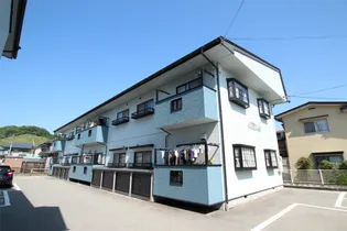 カモミール21の画像