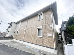 パーシモンの画像