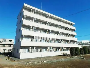 マンションシュウメイの画像