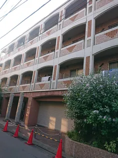 ダイヤモンドダスト10の画像