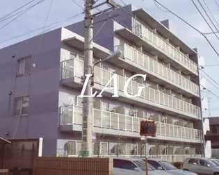 白樺マンション【1階】の外観