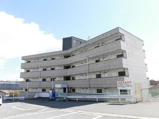 フラワーヒルズの画像