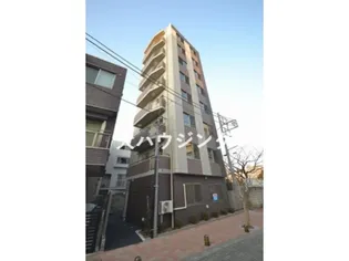 STELLA SENDAIZAKAの画像