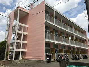 リピーチ川向ウエストの画像