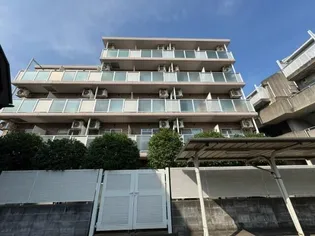 スペランザの画像