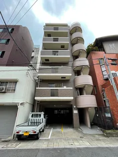 ノーブルコートトギヤの画像