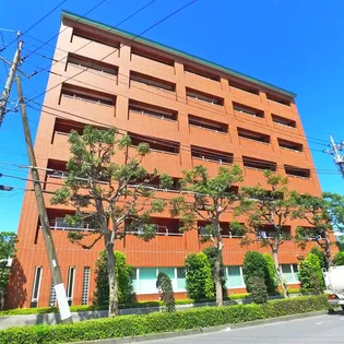 グランド アルビオンの画像