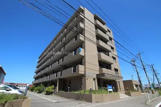 楠風イルミナの画像