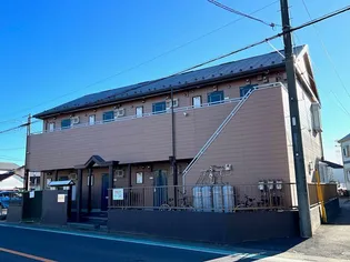 ラフィアンの画像