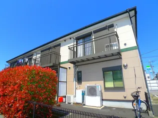 アプリコットの画像