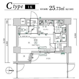 MAXIV武蔵新城TRE【1階】の間取り