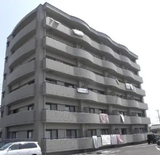 プレシャスコートの画像