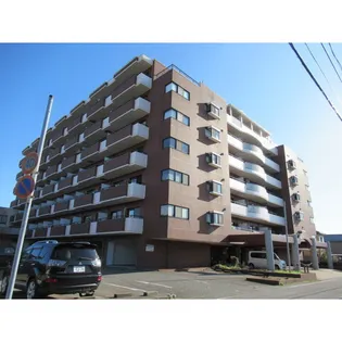 信開ウエラコート大領中の画像