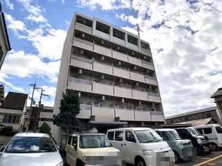 ベルカマラードの画像