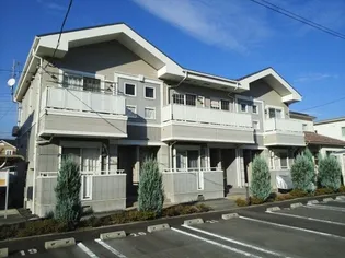 ゴールドハピネスCの画像