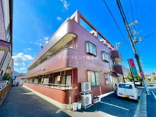 ヒューマメントグリマの画像