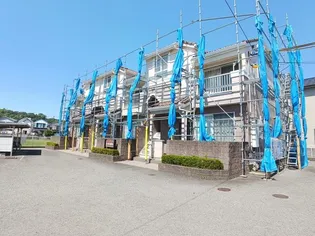 セーリウス梅原Ⅲの画像