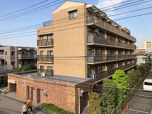 メゾン カメリアの画像