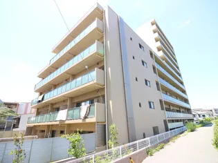 ラウロ相川リーヴァの画像