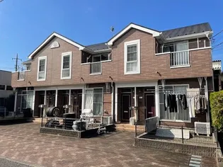 セレッソAの画像