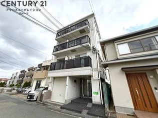 サンパレス21ベルデ1の画像