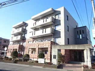 サニー フィールドの画像