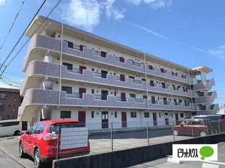 キャッスルローゼ【2階】の外観