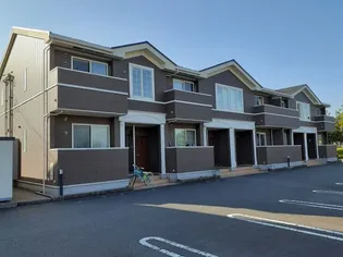 プラシード IIの画像