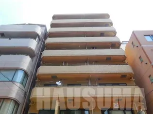 駒込 大河原ビル【4階】の外観