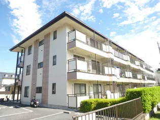 メゾン ハツミノの画像