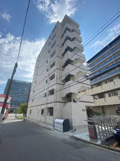 フェリシテの画像