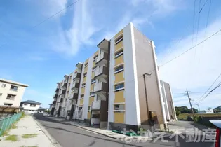 徳島県阿南市横見町中川原【マンション】の外観